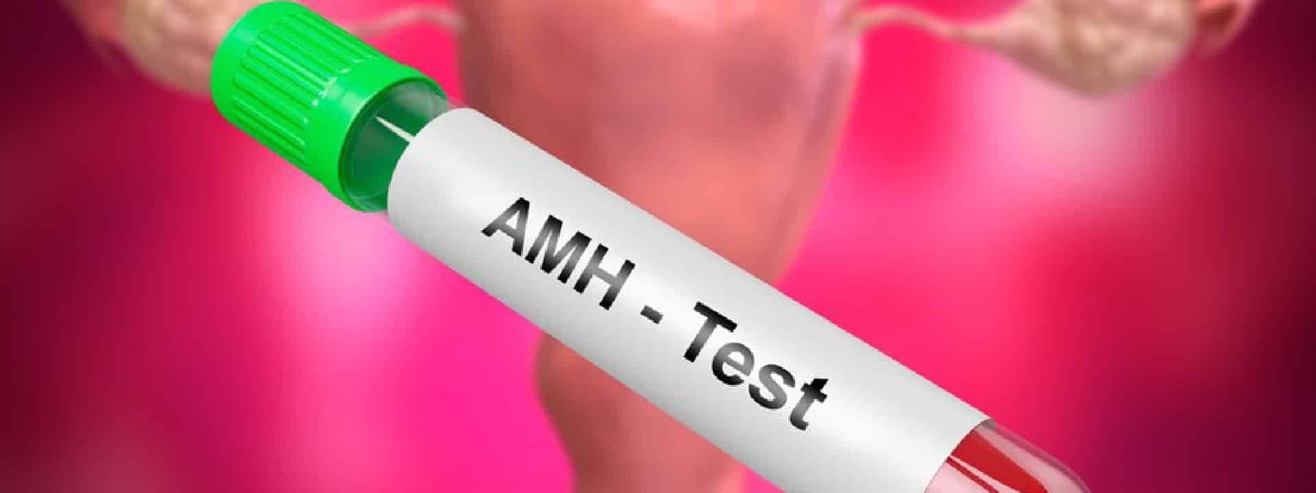 What Is An AMH Test? When Do You Need An AMH Blood Test?