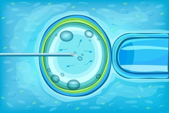 Infertility in Women: How to Identify Symptoms & Seek Treatment