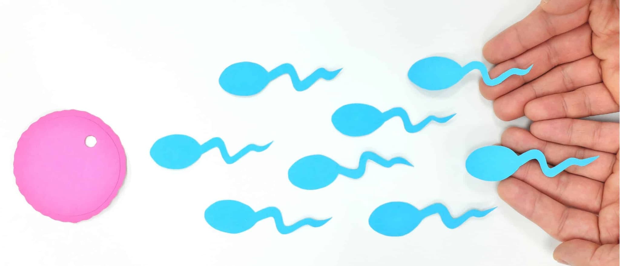 How To Confirm Whether Sperm Went Inside or Not?