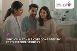Why Choose ICSI? Key Advantages Explained