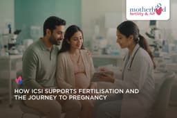ICSI Pregnancy: How it Works and Who it Can Help