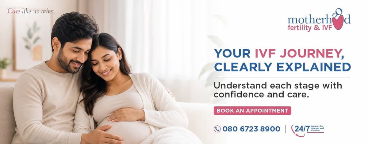 Your IVF Journey Clearly Explained - Motherhood Fertility & IVF