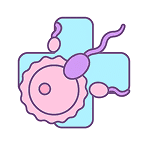 IVF (In Vitro Fertilization)