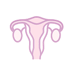 Reproductive Surgery