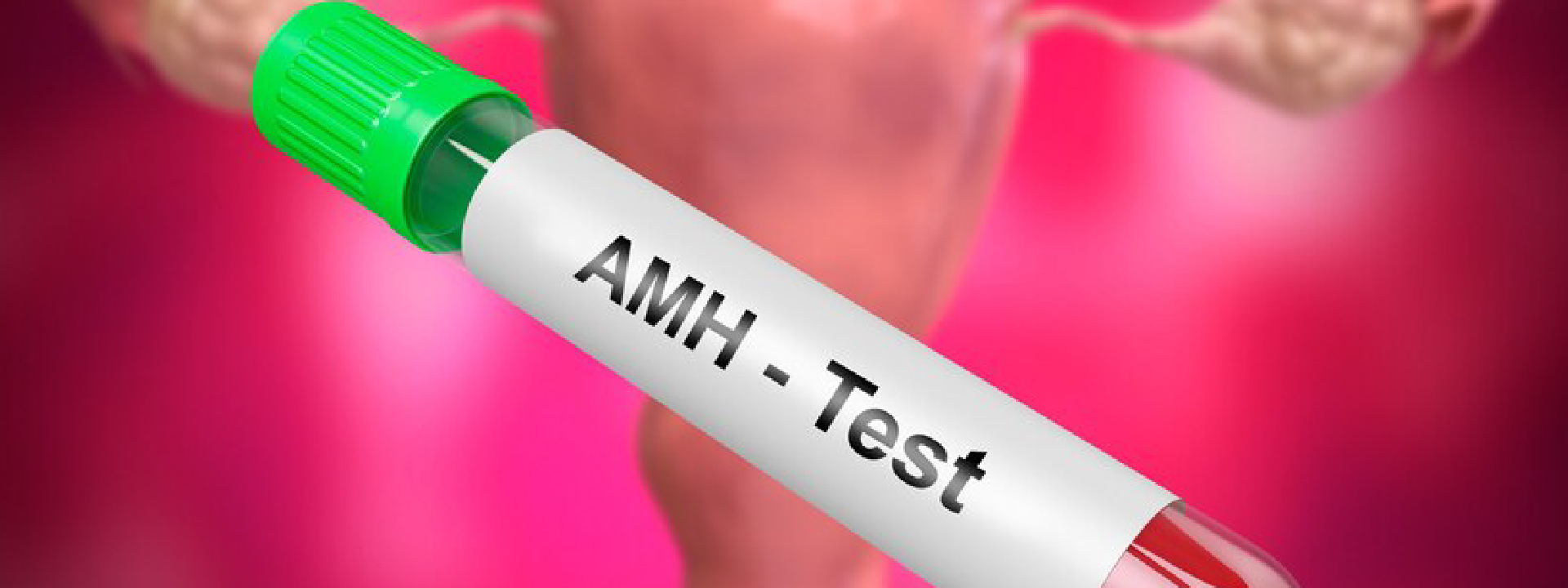 AMH blood test - What is an AMH test?