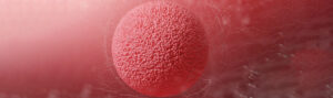 fertility specialists in Bangalore,