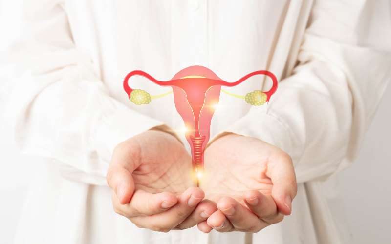 What is Ovarian Cyst?