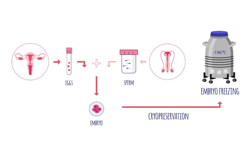 egg freezing cost