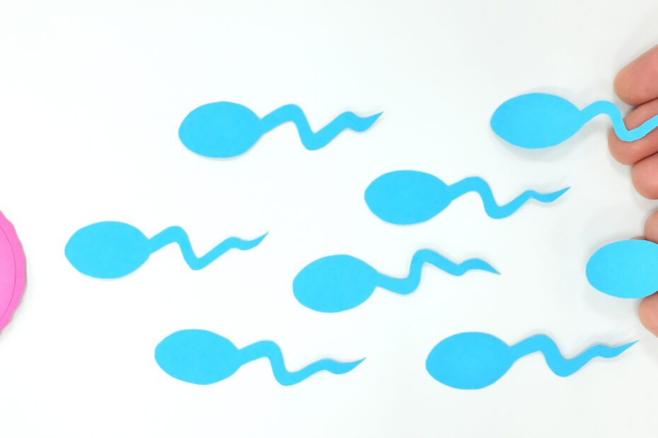 How To Confirm Whether Sperm Went Inside or Not
