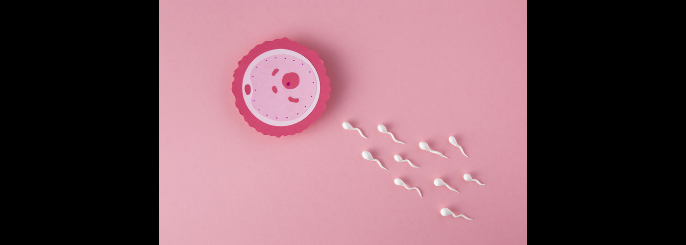 Natural Pathways to Elevate Sperm Count and Motility