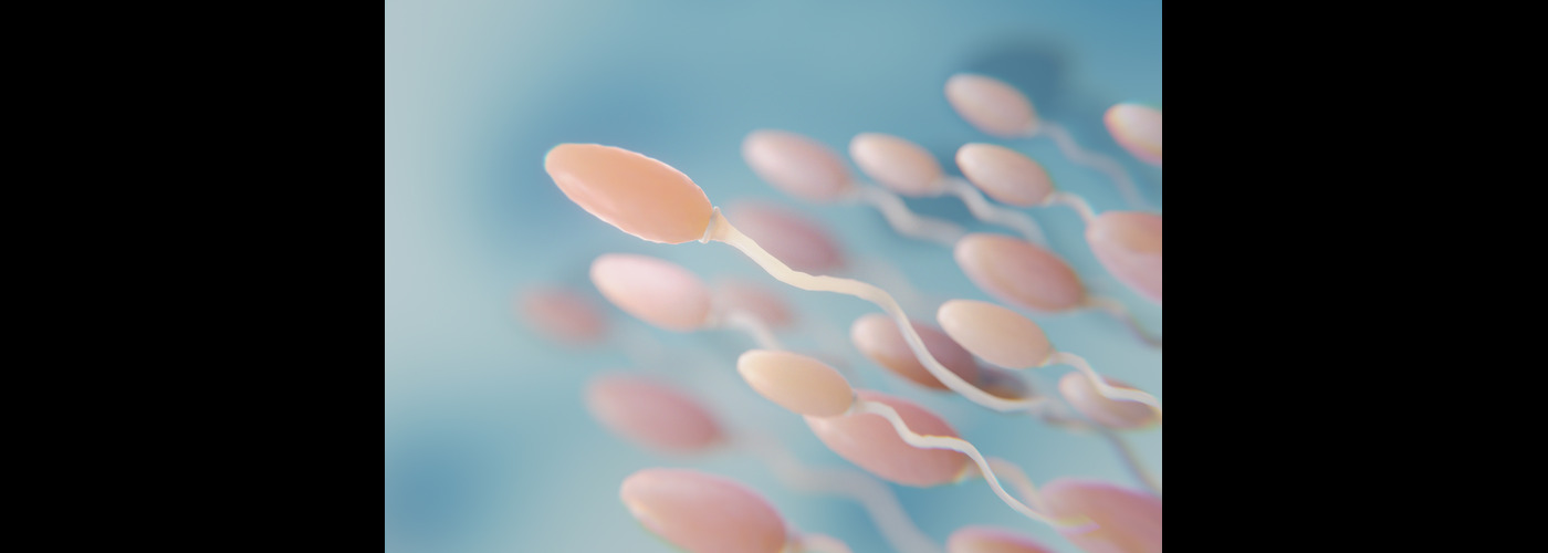 how sperms collected for IUI IVF
