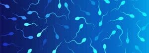 |Natural Pathways to Elevate Sperm Count and Motility