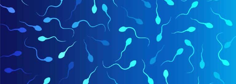Fostering Fertility: Natural Pathways to Elevate Sperm Count and Motility