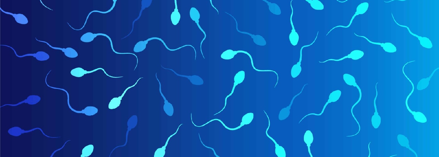 Fostering Fertility: Natural Pathways to Elevate Sperm Count and Motility