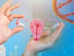 Sonosalpingography Ssg Test Procedure Cost Advantages|SSG test for Blocked Fallopian Tube
