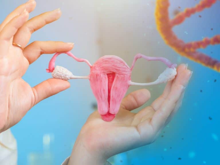 Sonosalpingography – SSG Test, Procedure, Cost & Advantages