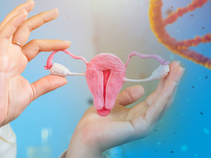 Sonosalpingography – SSG Test, Procedure, Cost & Advantages