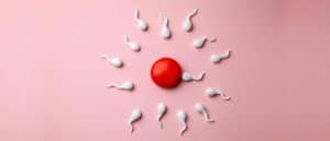 Sperm Entry|||5 Signs of Ovulation|IVF Process Timeline|Ovulation Symptoms|Track your period|Online period tracker|Managing the IVF stress||IVF Center near me|||||||||||IVF in Gurgaon||ivf treatment cost in coimbatore||Consultation in IVF Gurgaon|Food to Eat During IVF Treatment|best treatment for unexplained infertility|||IVF treatment near me|IVF treatment near me|What to Expect During Early IVF Pregnancy|IVF and Irregular Menstrual Cycles: Success Rates & Possibilities