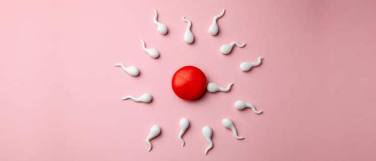 Fertility Myths and Misconceptions: Debunking Common Beliefs Related to IVF and Fertility