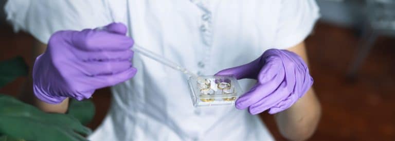 Do’s and Don’ts After an Embryo Transfer: Navigating the Crucial First Weeks