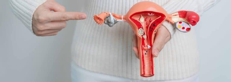 Difference Between Ovulation Induction & IUI