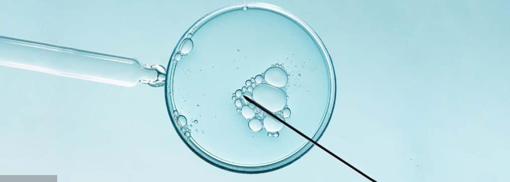 Natural vs. Medicated Cycles in IVF: Navigating Your Choices