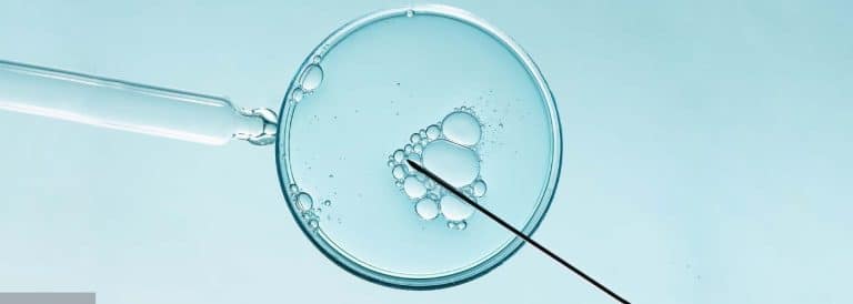 Natural vs. Medicated Cycles in IVF: Navigating Your Choices