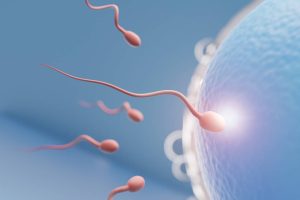 Understanding The Semen Analysis Test Report