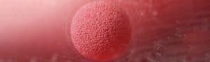fertility specialists in Bangalore