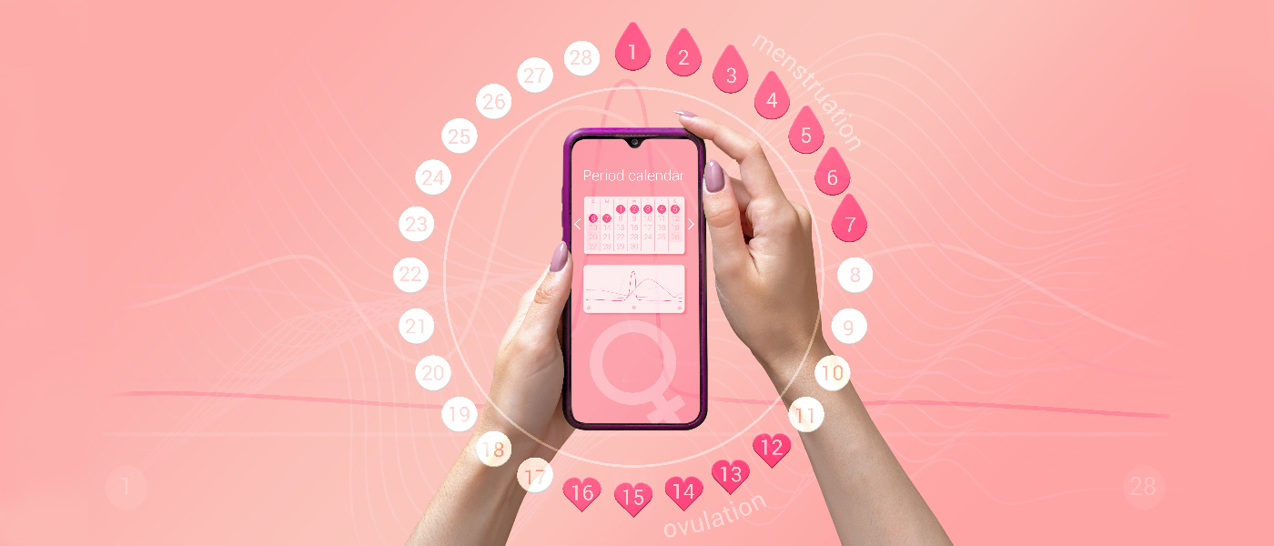 Period Calculator Fertility Window