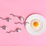 5 Signs of Ovulation||best treatment for unexplained infertility|Food to Eat During IVF Treatment|Consultation in IVF Gurgaon|||IVF in Gurgaon||ivf treatment cost in coimbatore||||||||||IVF Center near me||Online period tracker|Track your period|Managing the IVF stress