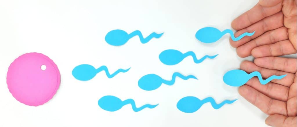 How To Confirm Whether Sperm Went Inside or Not?