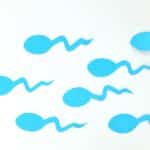 How To Confirm Whether Sperm Went Inside or Not|IVF and Irregular Menstrual Cycles: Success Rates & Possibilities|||5 Signs of Ovulation|IVF Process Timeline|Track your period|Ovulation Symptoms|Online period tracker|Managing the IVF stress||IVF Center near me|||||||||||IVF in Gurgaon||ivf treatment cost in coimbatore||Food to Eat During IVF Treatment|Consultation in IVF Gurgaon|best treatment for unexplained infertility|||IVF treatment near me|IVF treatment near me|What to Expect During Early IVF Pregnancy