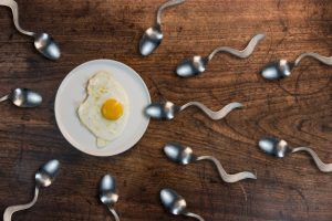 Foods that boost sperm count and improve quality