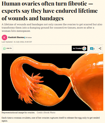 Ovarian Fibrosis and Fertility Risks After 35